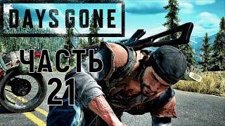 Days gone|Жизнь после прохождениеЧасть 21Бирли-Лейк.