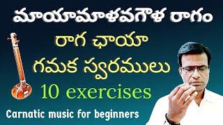 Mayamalavagowla Raga | swara gamakas 10 exercises | carnatic music lesson for beginners in Telugu