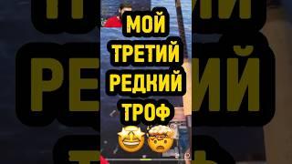 РЕДКИЙ ТРОФЕЙ САЙРА #рр4 #редкийтрофей #синийтрофей #русскаярыбалка4