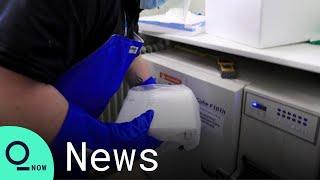 First Batch of Pfizer Covid-19 Vaccine Arrives in the U.K.