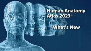 What's New in Human Anatomy Atlas 2023＋?