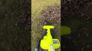 Fall Leaves + Vacuum = SHREDDED FUN!