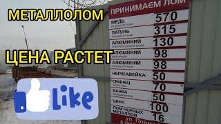 Цена на металл растет. Уже хорошо. #ценанаметалл#металлокоп