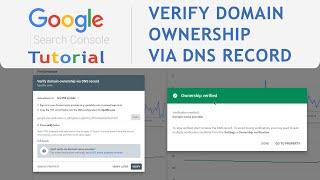 How to Verify Domain Ownership Google Search Console (DNS TXT Record)
