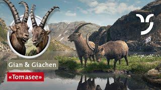 Steinbock-Spot „Tomasee“ mit Gian und Giachen