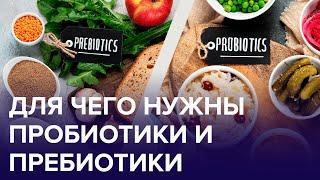 ПРОБИОТИКИ и ПРЕБИОТИКИ – в чём разница? | Доктор 24