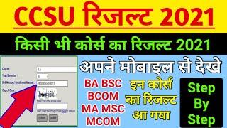 ccsu result 2021 kaise dekhe | BA BSC BCOM MA MSC MCOM | 1st 2nd 3rd Year  | ccsu result 2021