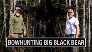 BOWHUNTING BIG BEARS | TRUE NORTH OUTFITTERS | JEFF DOWNING | JASON HANSEN ️ EP. 850