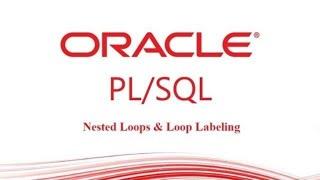 Oracle PLSQL: Nested Loops & Labels