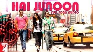 Audio | Hai Junoon | Full Song | New York | KK | Pritam | Sandeep Shrivastava