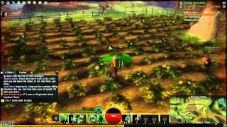 GohaMedia GW 2 Play Part 1