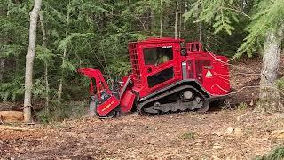 Lamtrac LTR 6160T with Seppi  Miniforst cl 175 mulching head