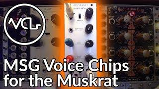 Muskrat MSG Expansion Chips For Eurorack