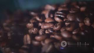 Understanding Supply Chain | Coffee Bean Example