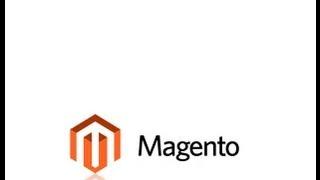 How to setup magento paypal payment method