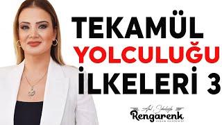 Tekamül Yolculuğu İlkeleri 3