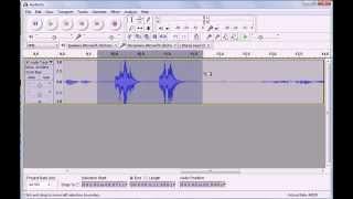 Basic Audacity Editing: Removing Audio Mistakes and Silences