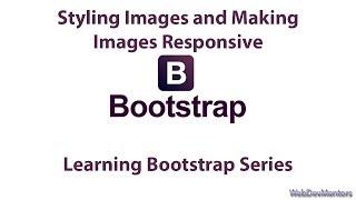 Styling Images and Making Images Responsive in Bootstrap