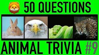 ANIMAL TRIVIA QUIZ #9 - 50 Animals Knowledge Trivia Questions and Answers | Pub Quiz