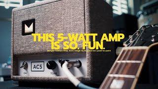 Morgan Amps AC5 might be my new favorite small tube amp! | mini AC30 tones