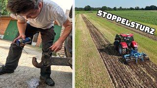 Hof aufräumen | Stoppelbearbeitung und die letzten Ballen zusammenfahren | Farmvlog #142