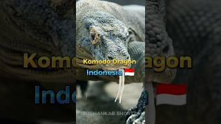 National Animals In Different Countries In The World [Part-2] #shorts @SubhankarShortz