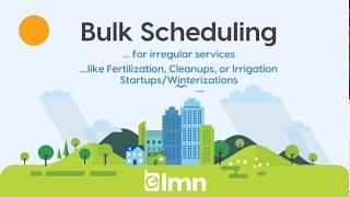 LMN - Bulk Scheduling - (Irregular)