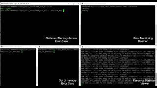 Fault Detection for Illegal Memory Access