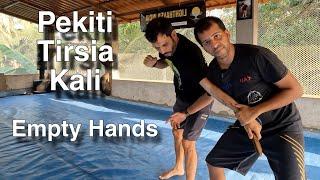 Empty Hands Techniques of Pekiti Tirsia Kali: Understanding Bisecting Lines