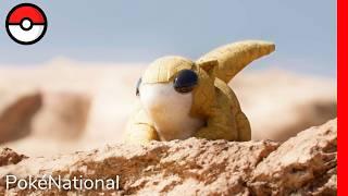 The Sandy Sensation - Sandshrew | PokéNational