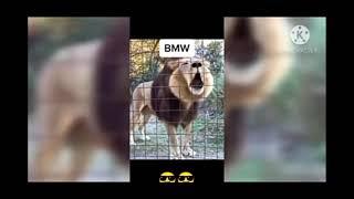 BMW Топ