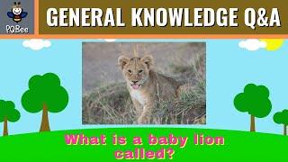 General Knowledge Quiz for Kids [Question and Answer]