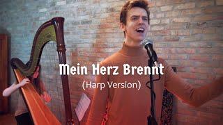 Alexey Baklan - Mein Herz Brennt Cover (Harp Version) full cover