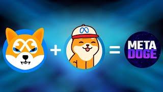 METADOGE - ПЕРСПЕКТИВНЫЙ ПРОЕКТ ИЛИ ЛЮТАЯ СКАМИНА? ПОЧЕМУ Я НЕ ВЕРЮ В DOGE? ПРОГНОЗ METADOGE 2022