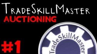 TradeSkillMaster Guide (TSM) - Auctioning and Group Creation (Updated for MoP)