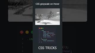 CSS grayscale filter on hover trick #css #shorts #learnhtmlandcss