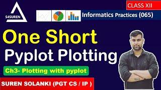 one short video Ch3- Plotting with pyplot | Informatics Practices ( IP 065)  | Class: 12