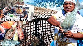 Cek perangkap Ikan makan besar di pantai || Subscriber disodorkan Ikan Buntal beracun di Dunia