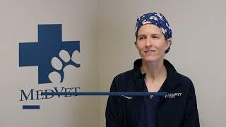 Meet the Specialist - Dr. Sarah Bisgard, Veterinary Surgeon