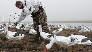 Goose Hunting with White Rock Windsock Decoys