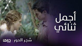 مسلسل شجر الحور| أسمينا ونيكوفورس.. قصة حب تتحدى الأحقاد العائلية