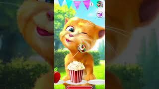 Talking Ginger Funny Video | talking ginger yellow cat | talking ginger | talking tom | funny cat |