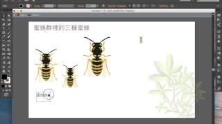 New Feature of Adobe Illustrator CC 2015 / INFOGRAPHIC