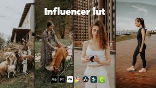 Influencer LUTs - lut for video filter - video presets - luts for premiere pro - cinematic free luts