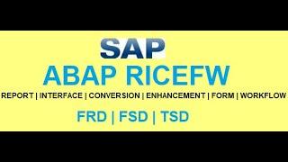 HOW YOU WORK WITH ABAP TEAM AS AN SAP FUNCTIONAL CONSULTANT - SAP ABAP RICEFW DEVELOPMENT???