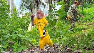 Bibi and Dad clean up an anbandoned villa into a liveble garden