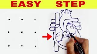 Dots turns into Human Heart Diagram drawing class 10 science