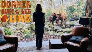DORMIR AVEC LES OURS - Safari Lodge Zoo de La Flèche