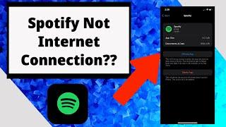 How to Fix Spotify No Internet Connection