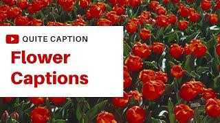 Flower Captions | Flower Captions For Instagram | Flower Instagram Captions | Flower Quotes